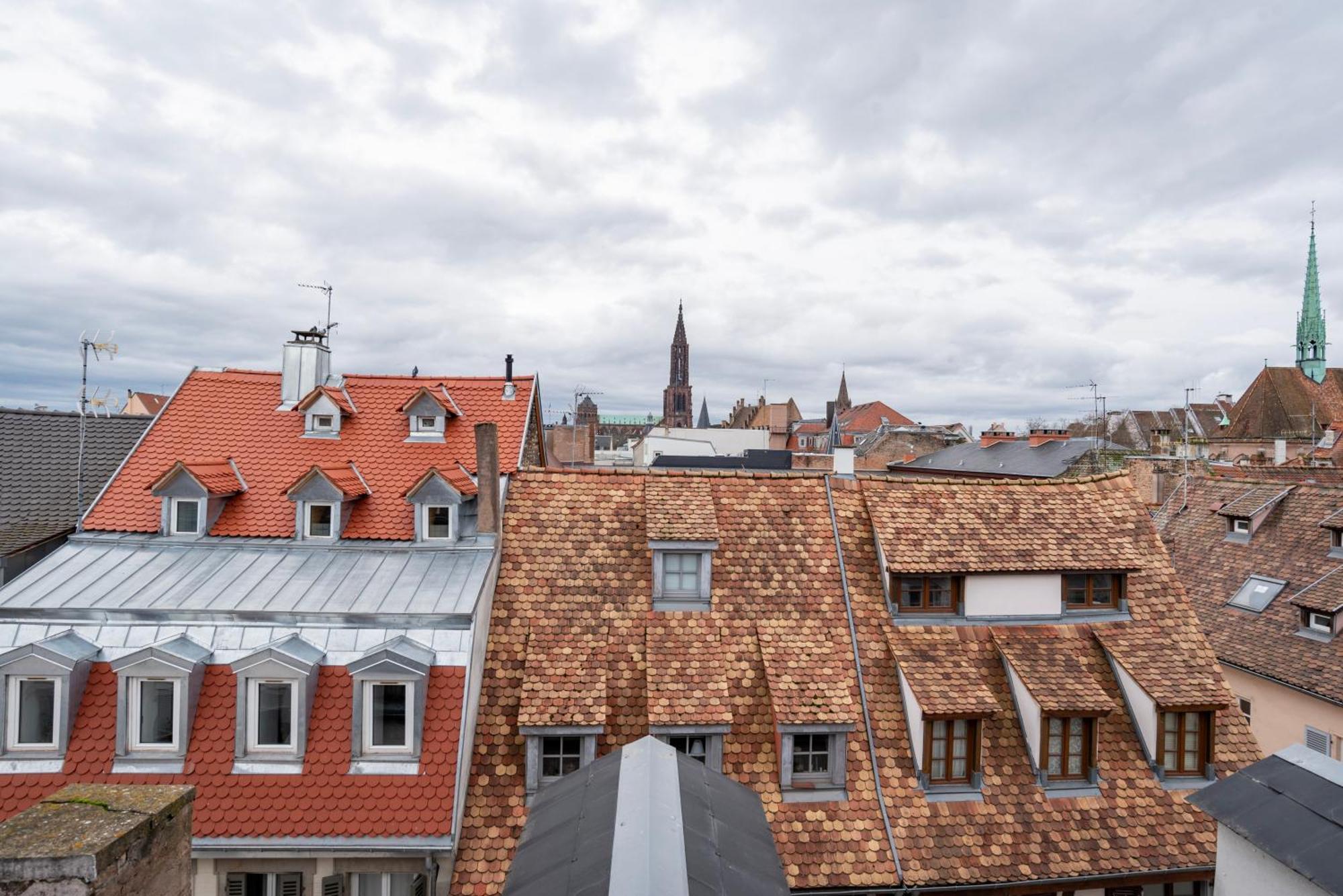 Le Schoepflin - Coeur De Strasbourg - Vue Toits Dış mekan fotoğraf